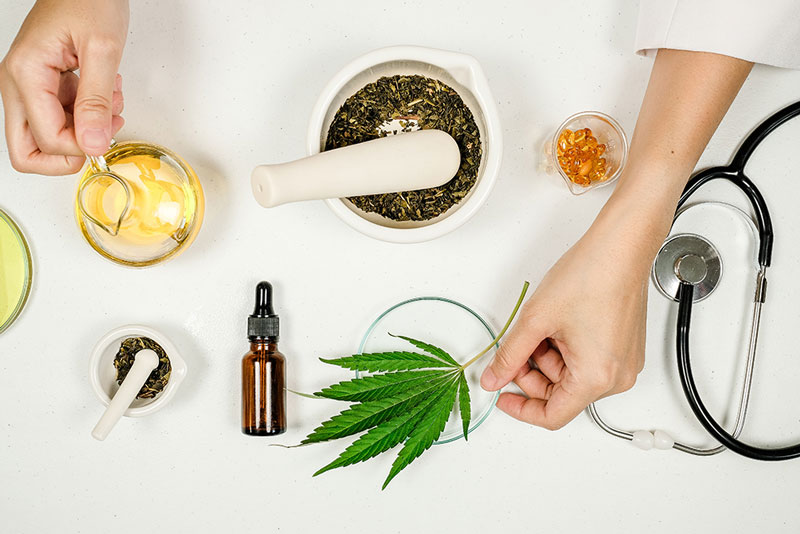 dados pacientes cannabis anvisa