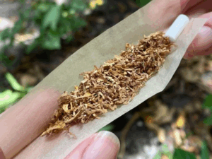 Tabaco
