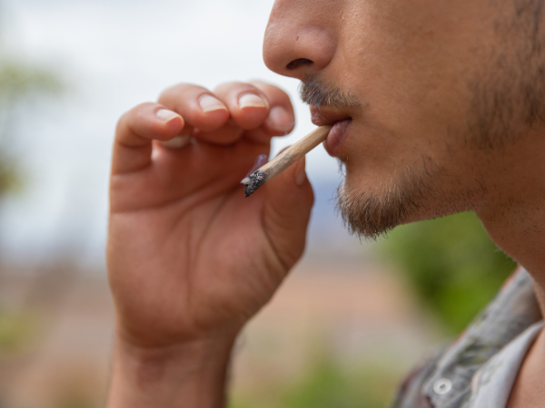Tabaco x maconha